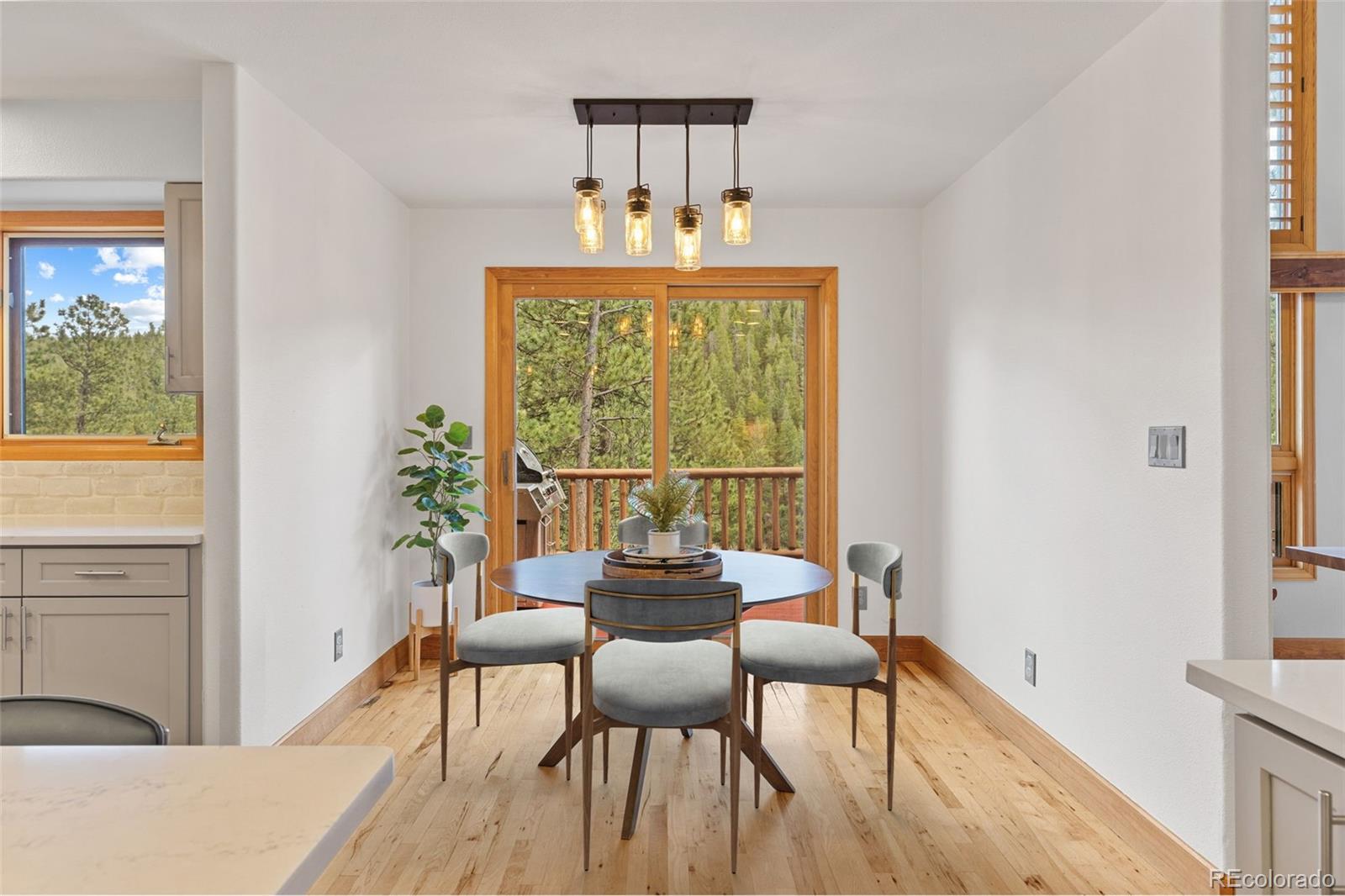 32230 Aspen Meadow Drive Evergreen CO 80439
