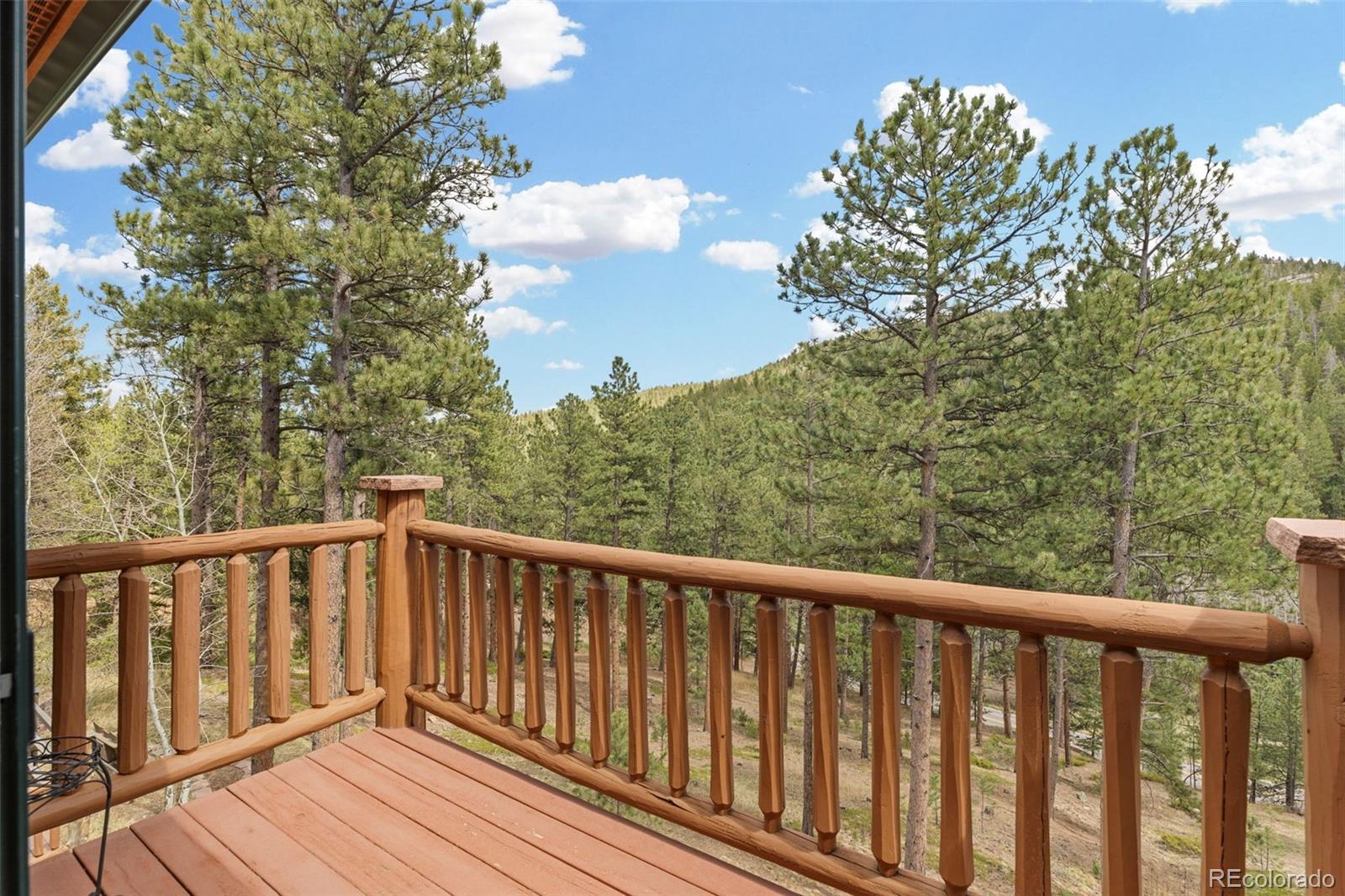 32230 Aspen Meadow Drive Evergreen CO 80439