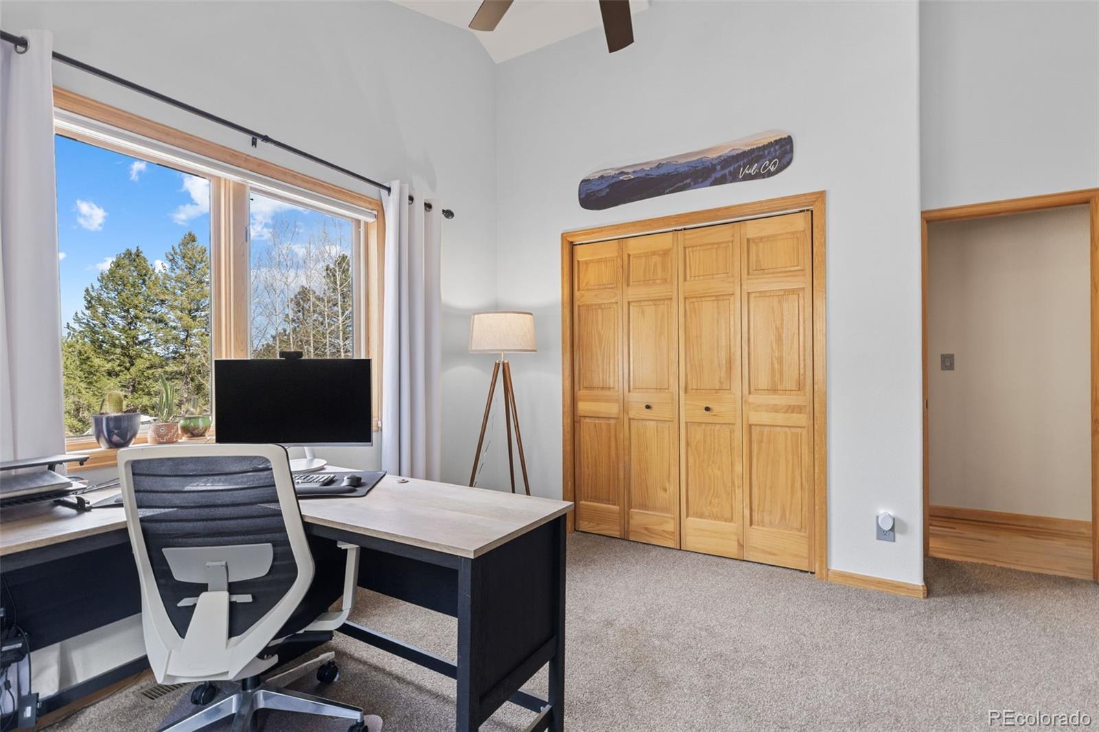 32230 Aspen Meadow Drive Evergreen CO 80439