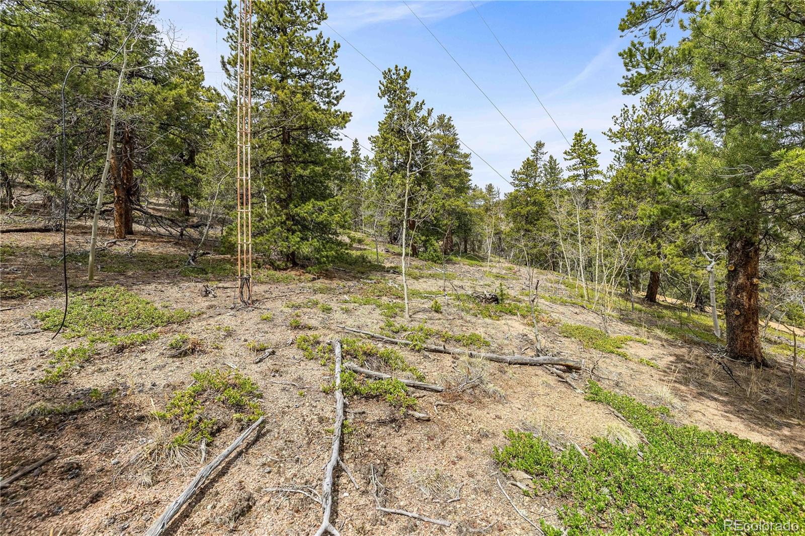 125 Road P62 Bailey CO 80421