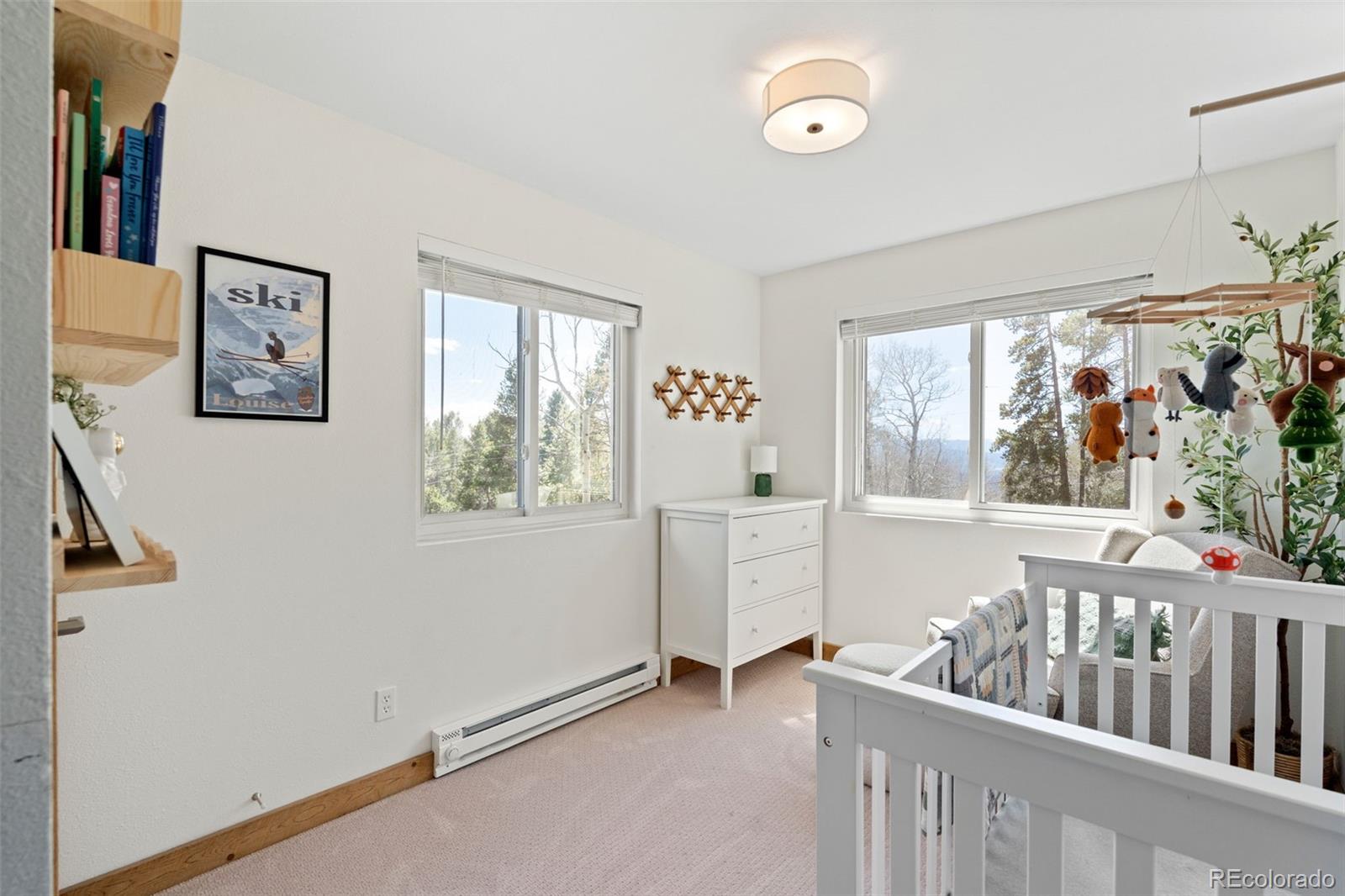 11544 Green Court Conifer CO 80433