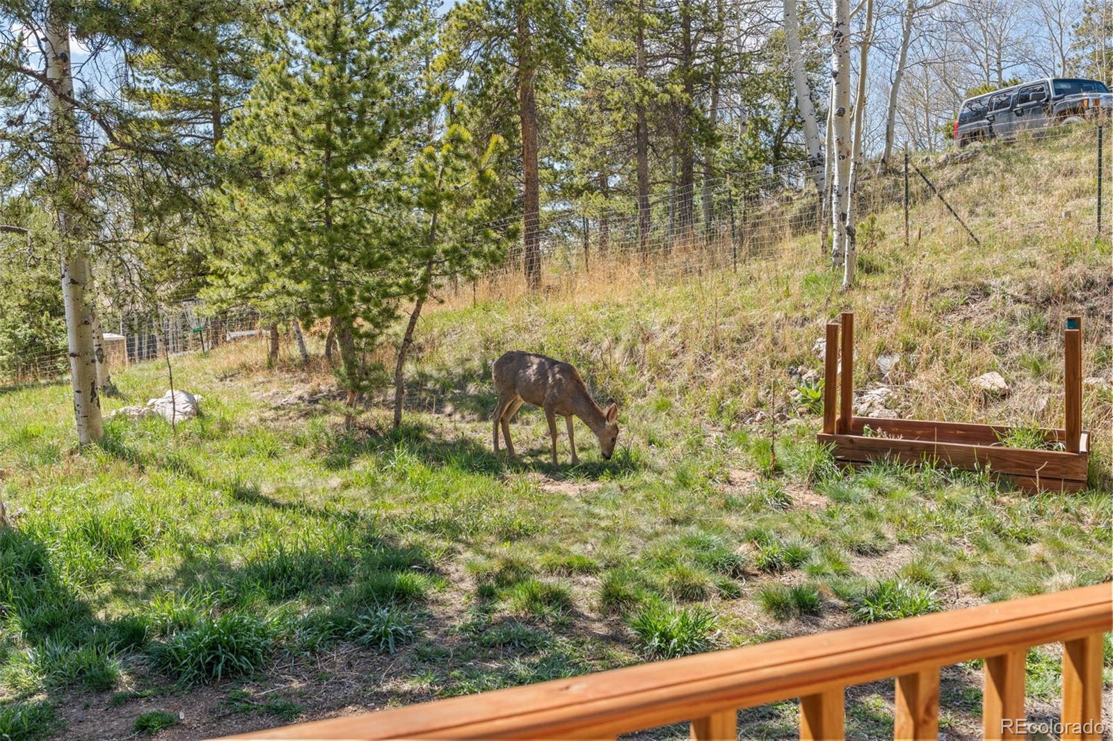 11544 Green Court Conifer CO 80433