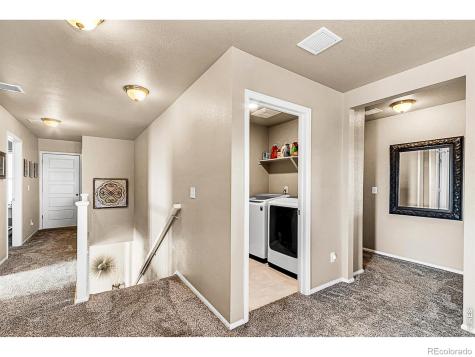 2169 Longfin Drive Windsor CO 80550