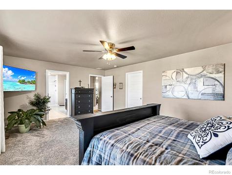 2169 Longfin Drive Windsor CO 80550