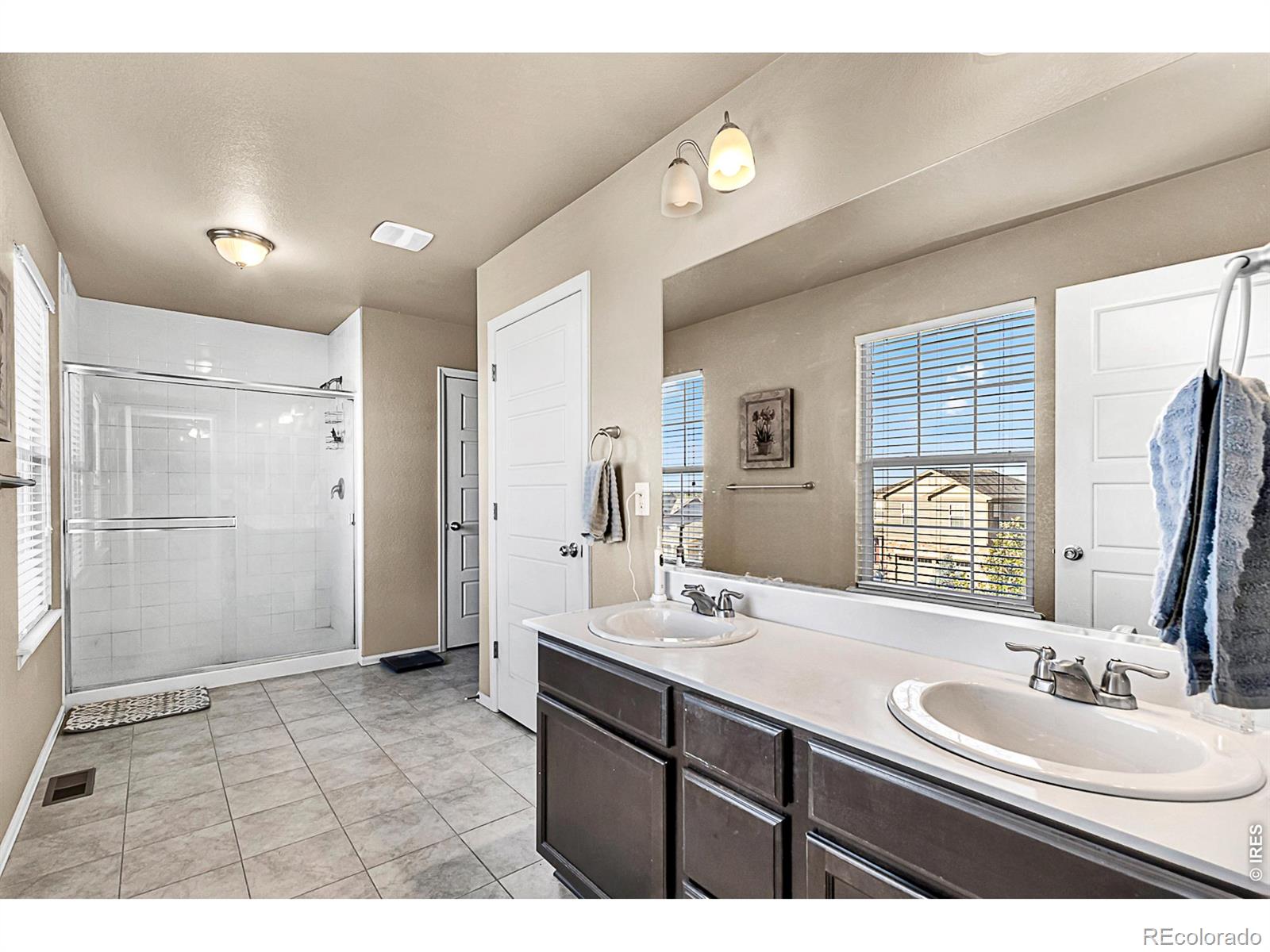 2169 Longfin Drive Windsor CO 80550