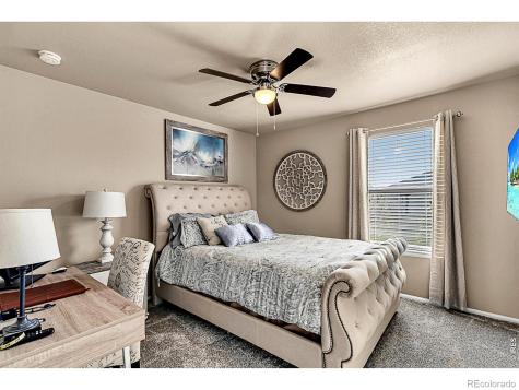 2169 Longfin Drive Windsor CO 80550