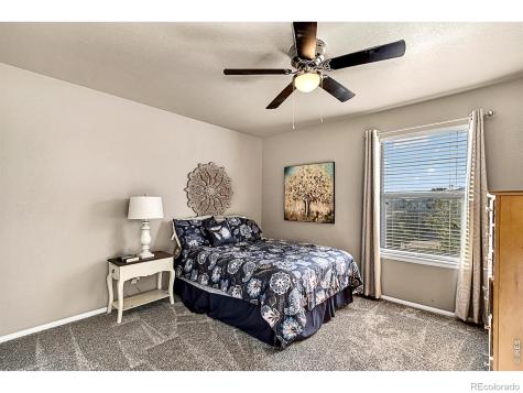 2169 Longfin Drive Windsor CO 80550