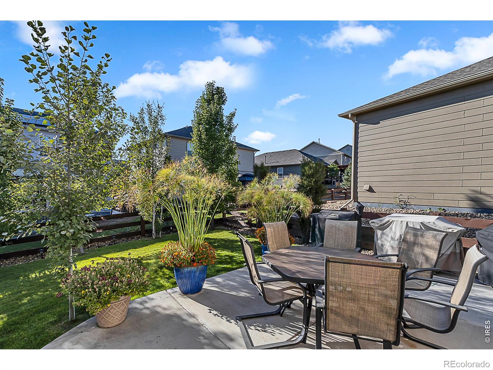 2169 Longfin Drive Windsor CO 80550