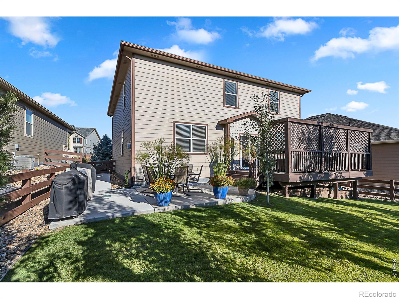 2169 Longfin Drive Windsor CO 80550