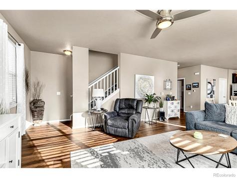 2169 Longfin Drive Windsor CO 80550