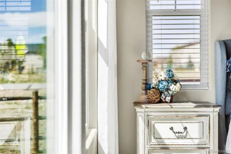 1444 Captiva Beach Lane Monument CO 80132