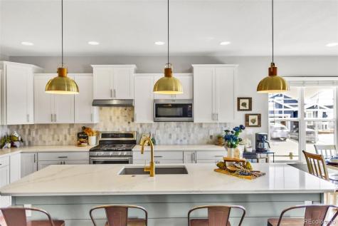 1444 Captiva Beach Lane Monument CO 80132