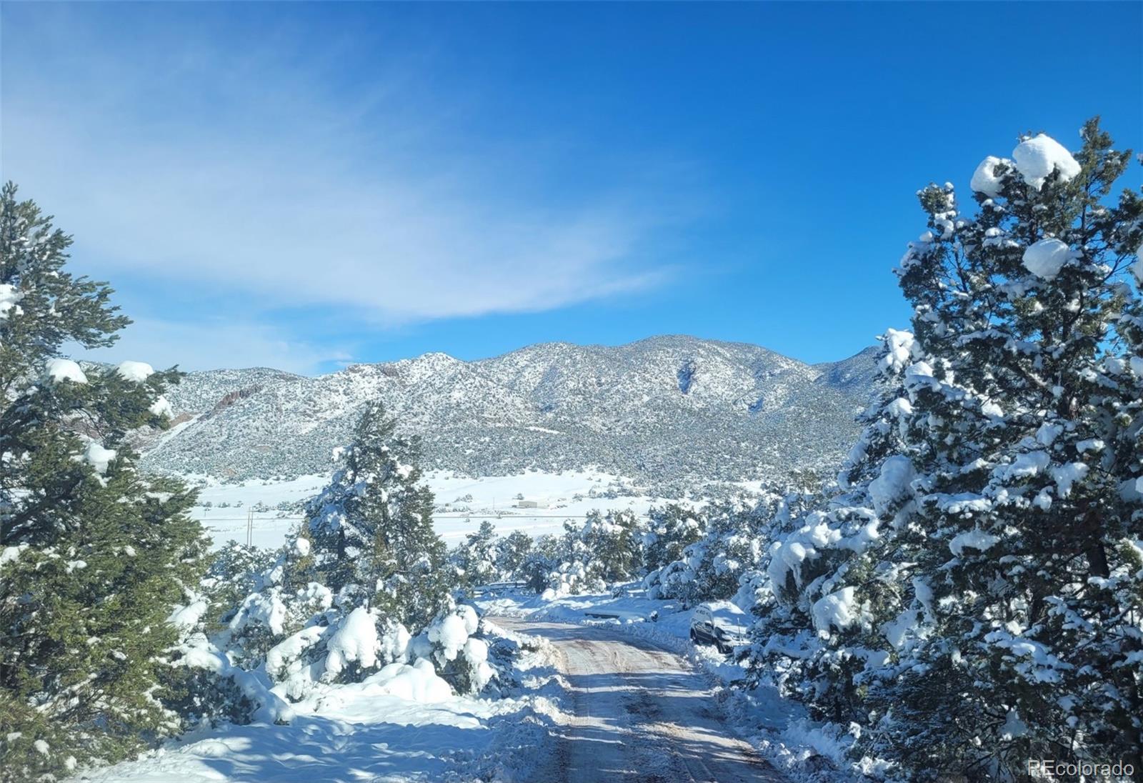 490 Cactus Drive Canon City CO 81212