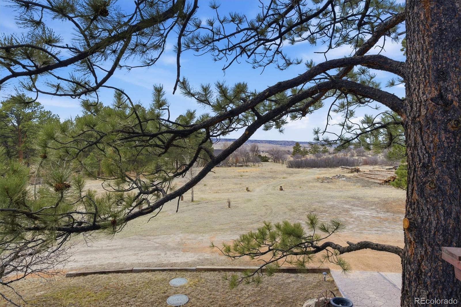 7755 E Park Drive Franktown CO 80116