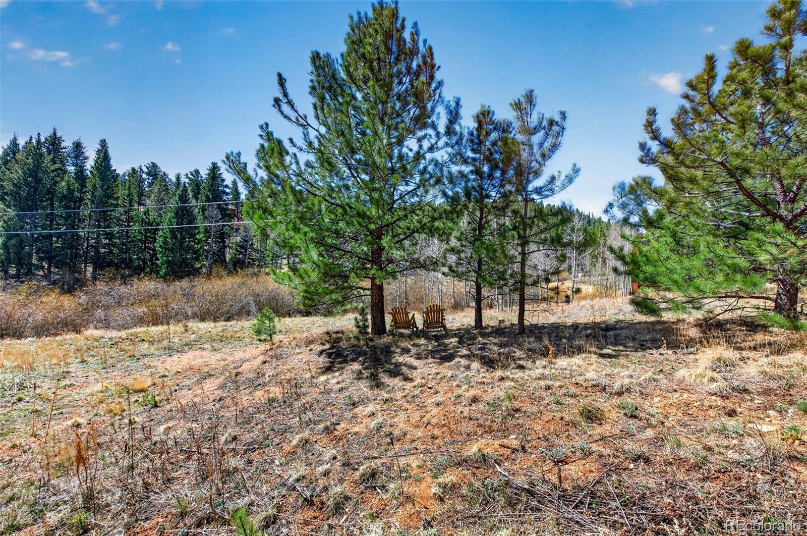 1328 Clark Road Bailey CO 80421