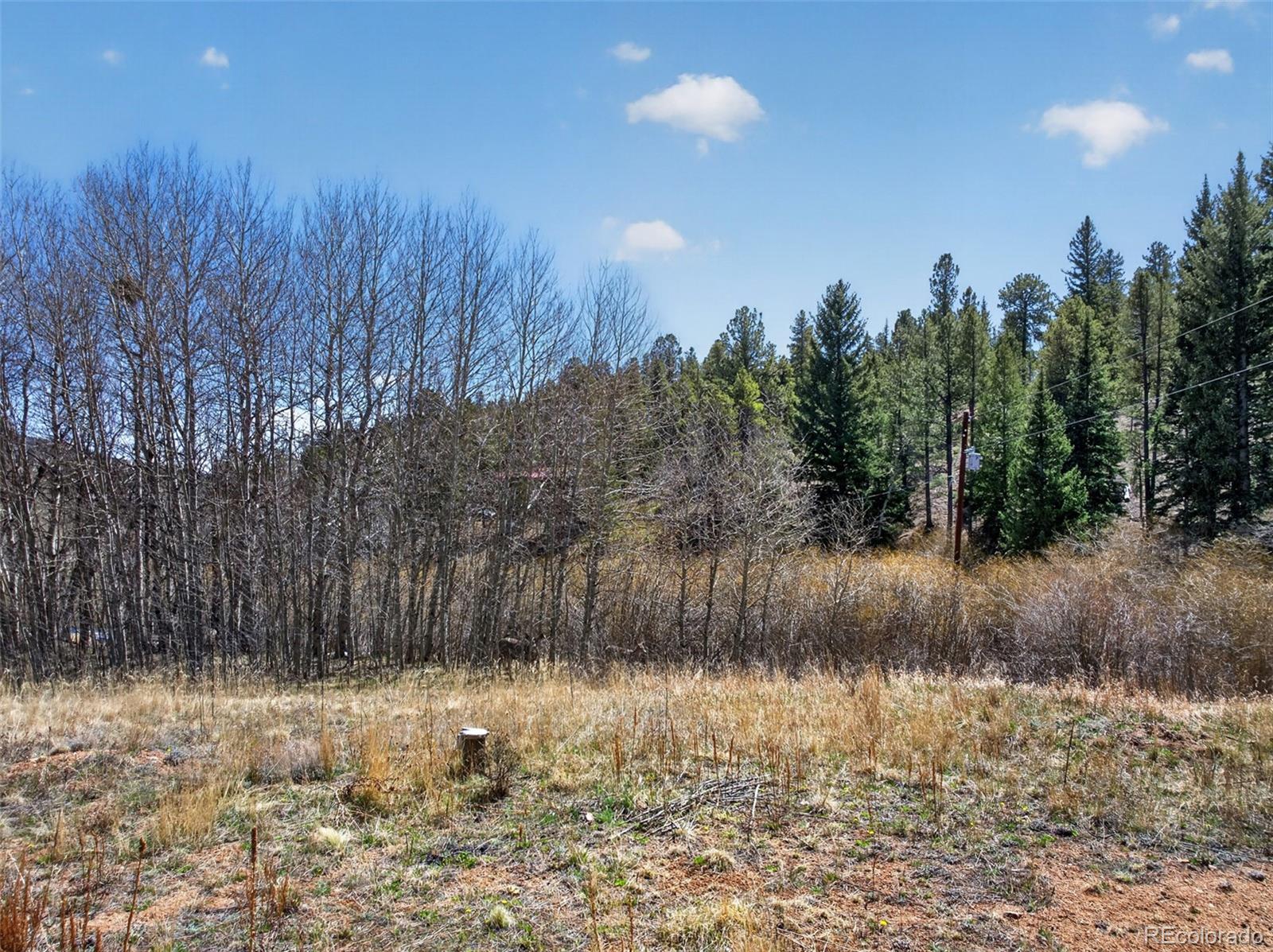 1328 Clark Road Bailey CO 80421
