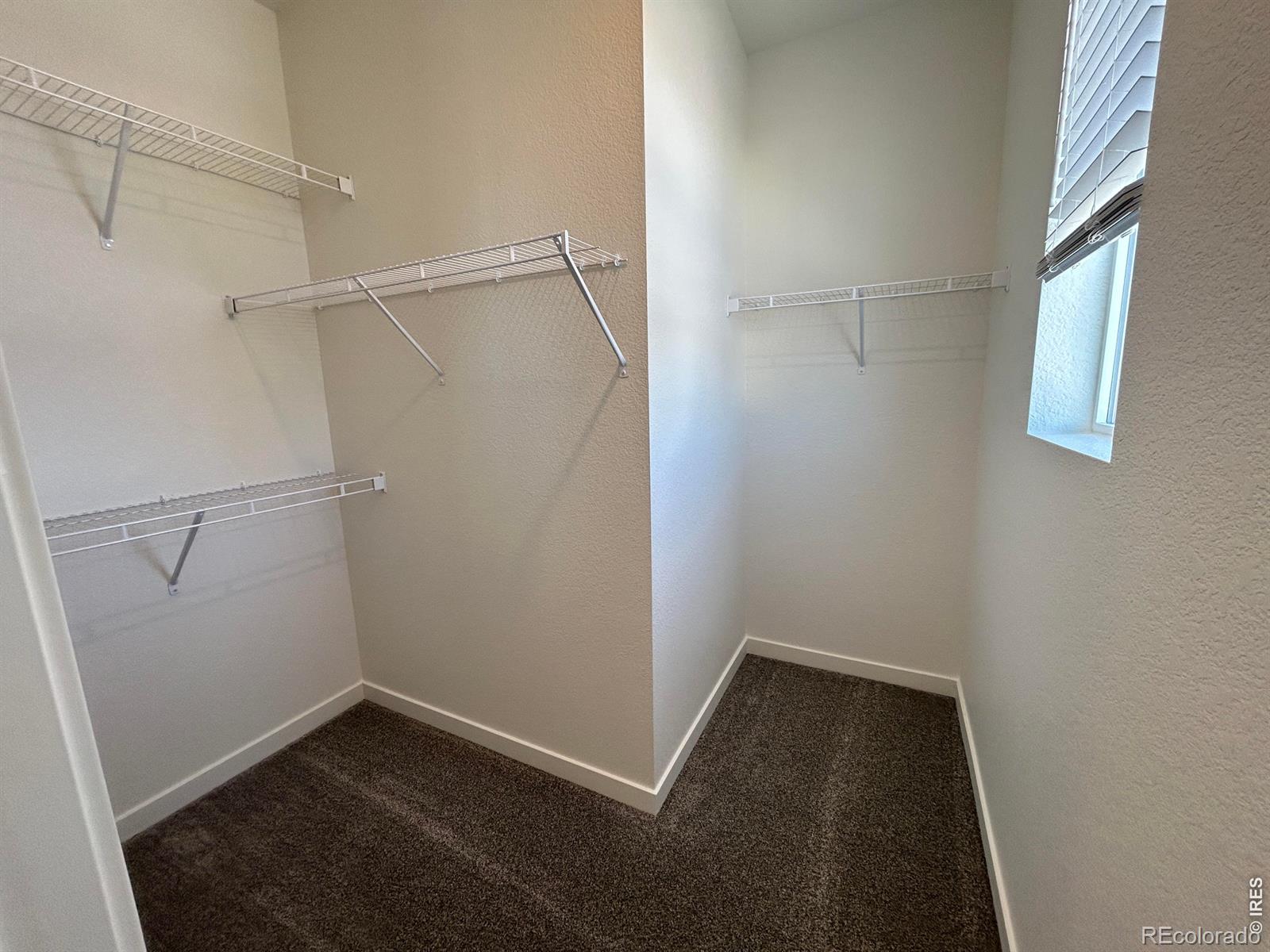 3908 Lake Clark Street Evans CO 80620