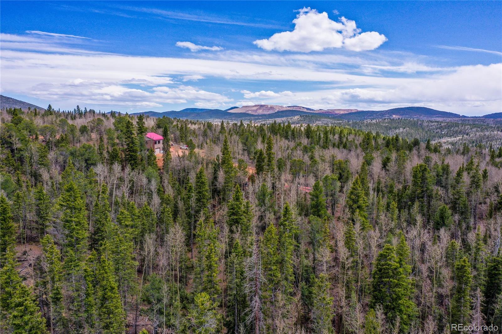 2747 County Road 61 Cripple Creek CO 80813