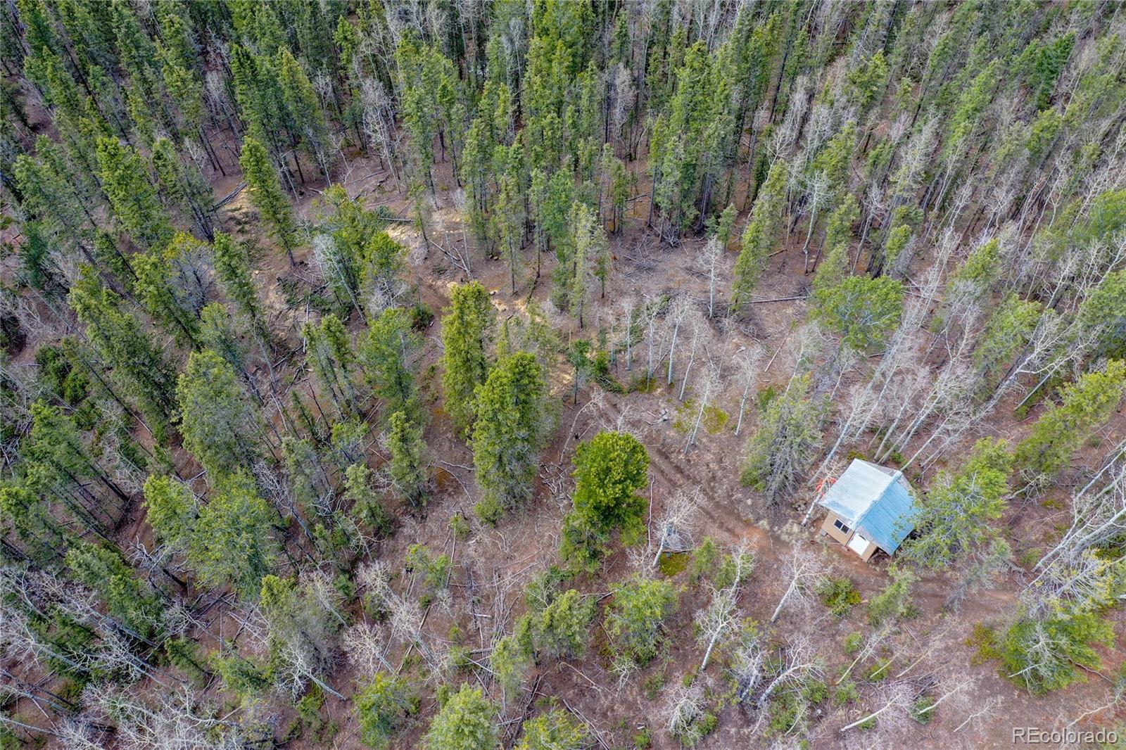 2747 County Road 61 Cripple Creek CO 80813