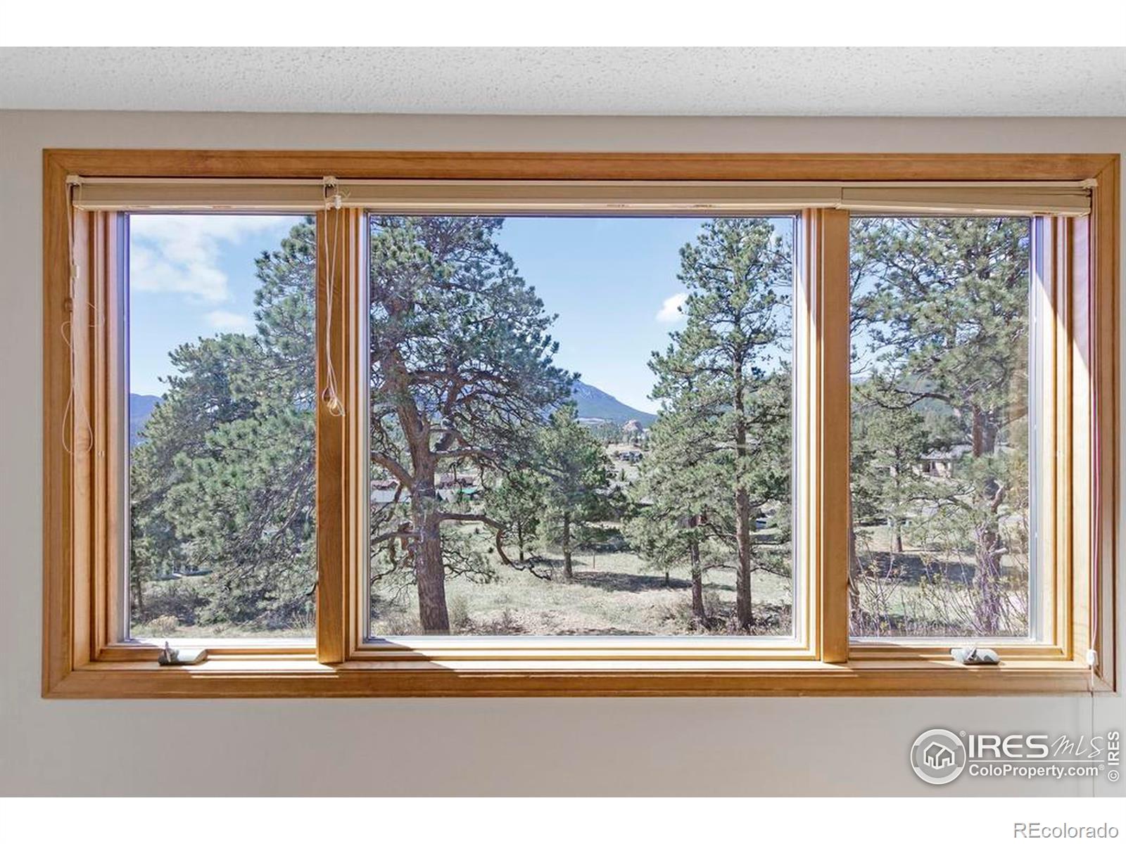 272 Solomon Drive Estes Park CO 80517