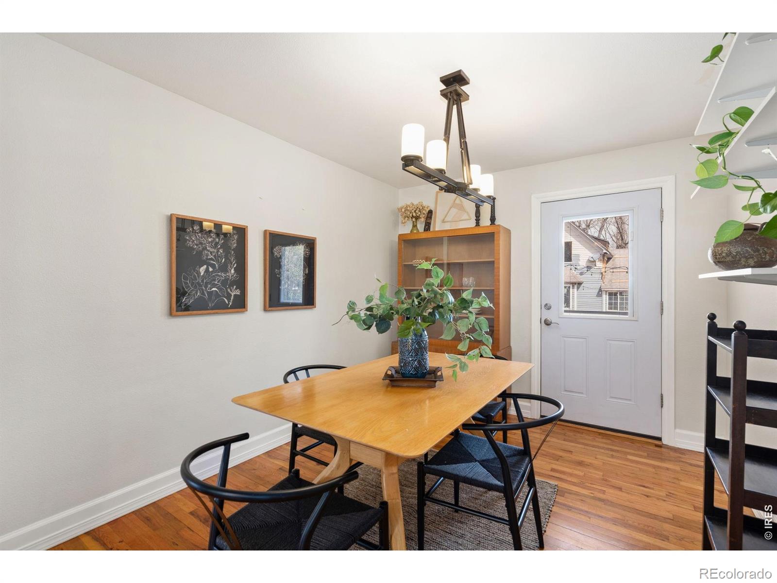 924 Sycamore Street Fort Collins CO 80521