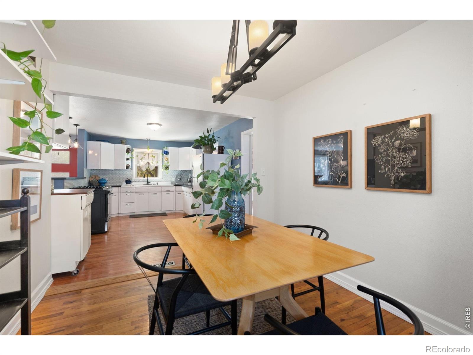 924 Sycamore Street Fort Collins CO 80521