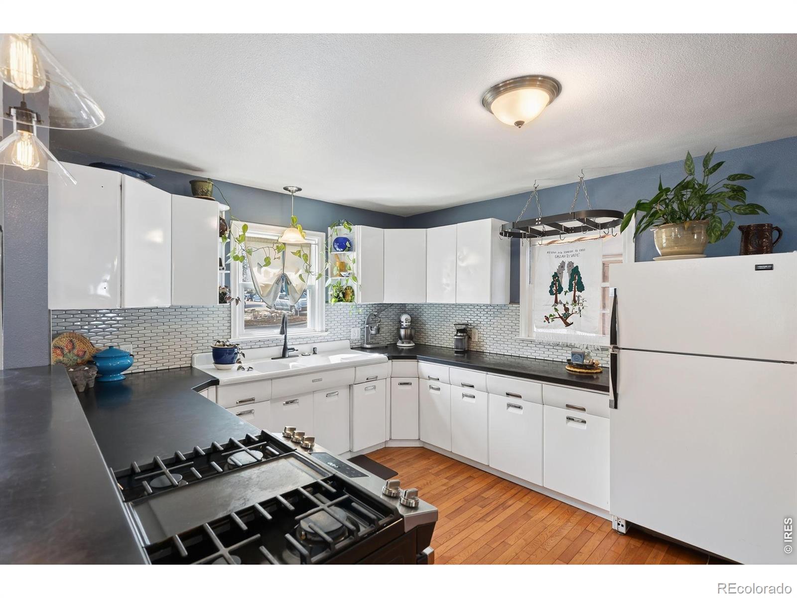 924 Sycamore Street Fort Collins CO 80521