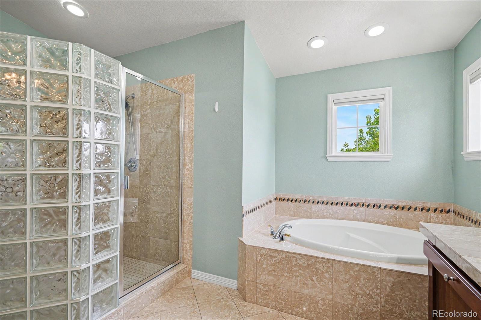 878 Graland Lane Highlands Ranch CO 80126
