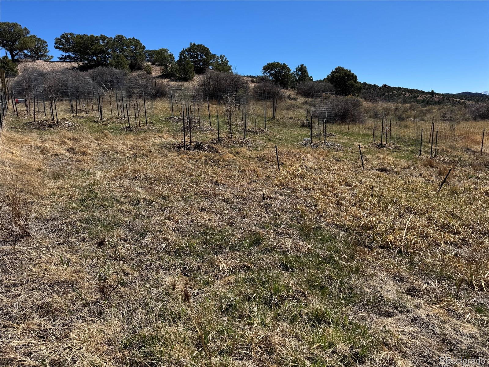 16103 Us Highway 285 Salida CO 81201
