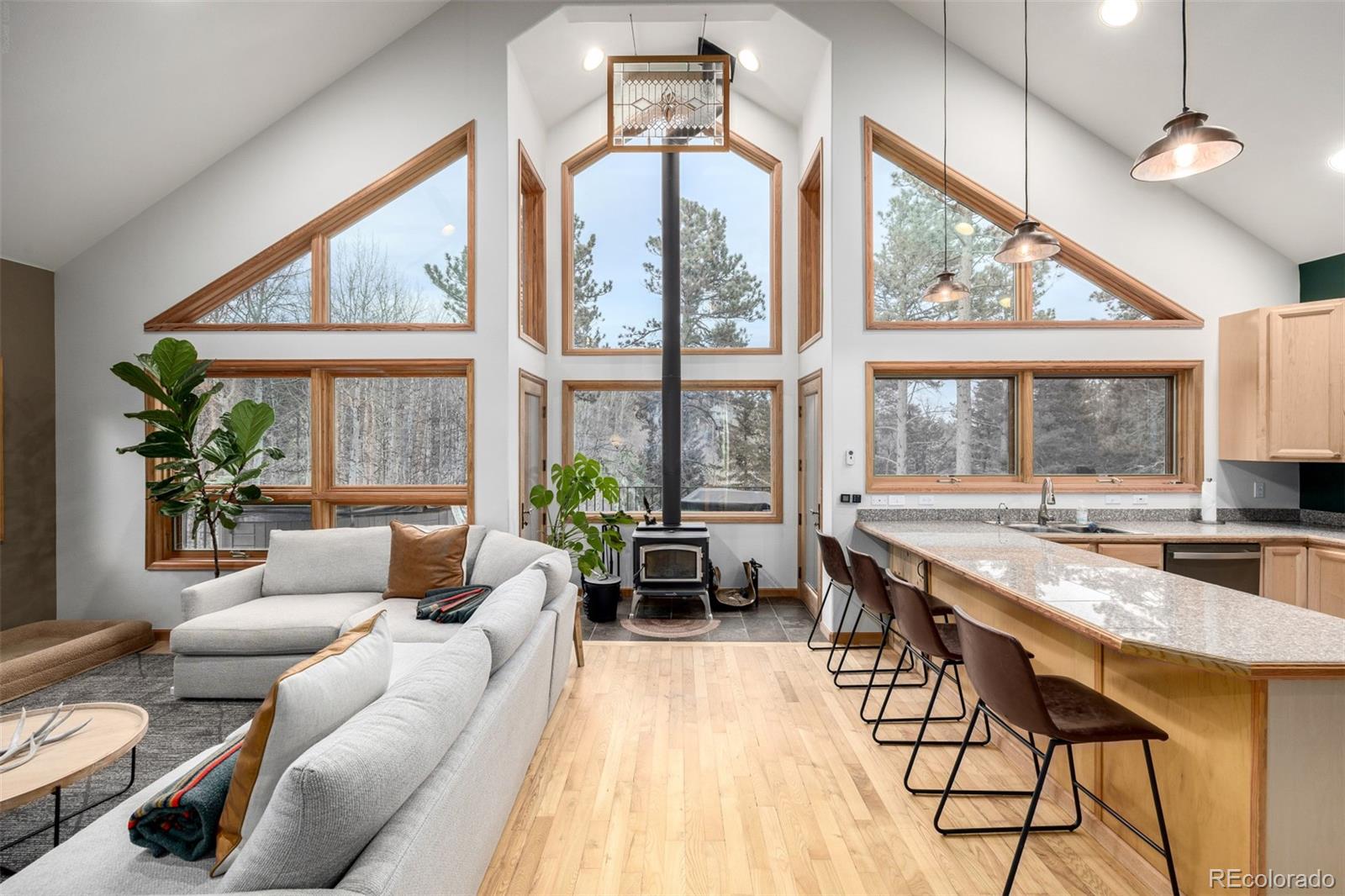 317 Ridge Road Ward CO 80481