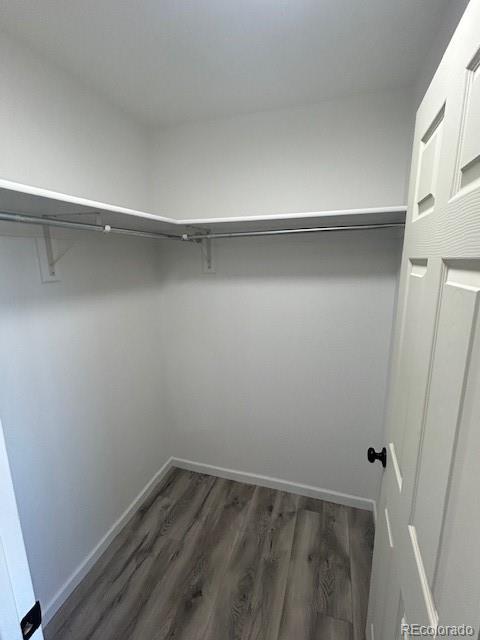 2904 Chester Place Alamosa CO 81101