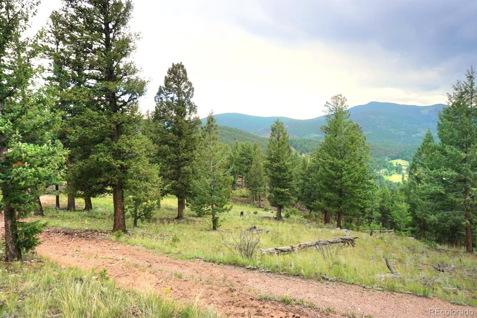 1533 Hitchrack Road Bailey CO 80421