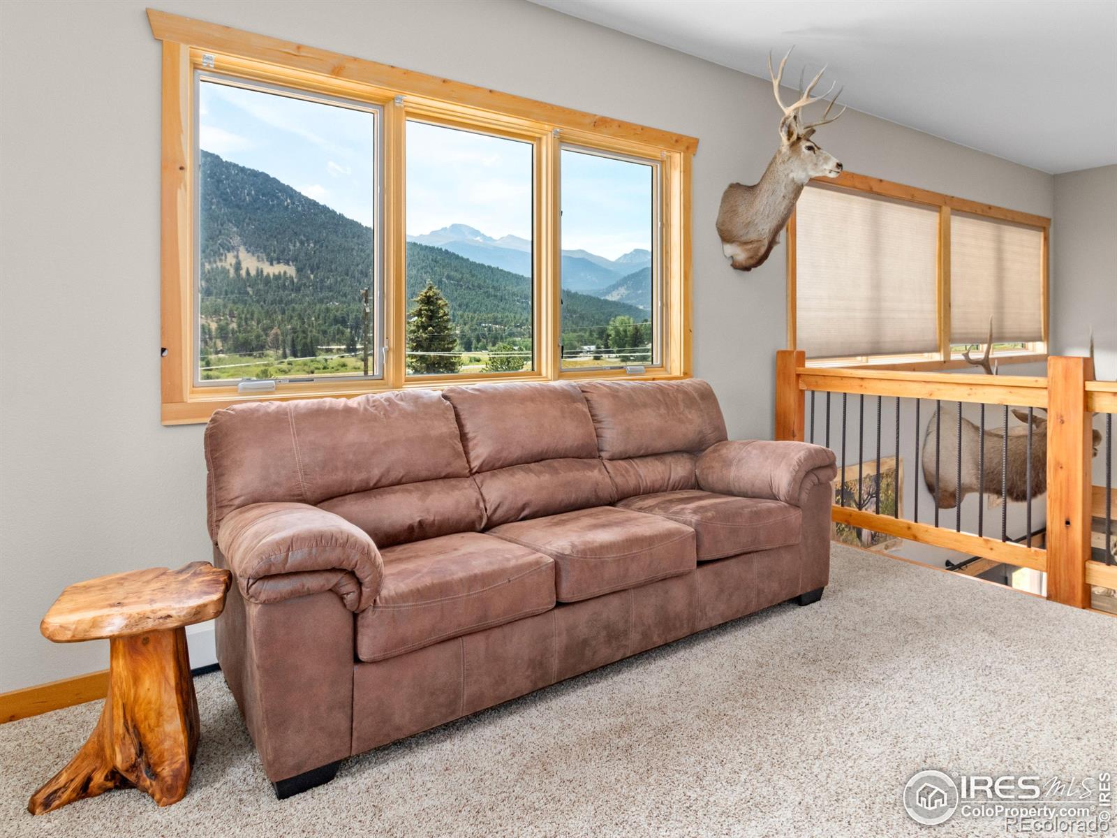1401 High Drive Estes Park CO 80517