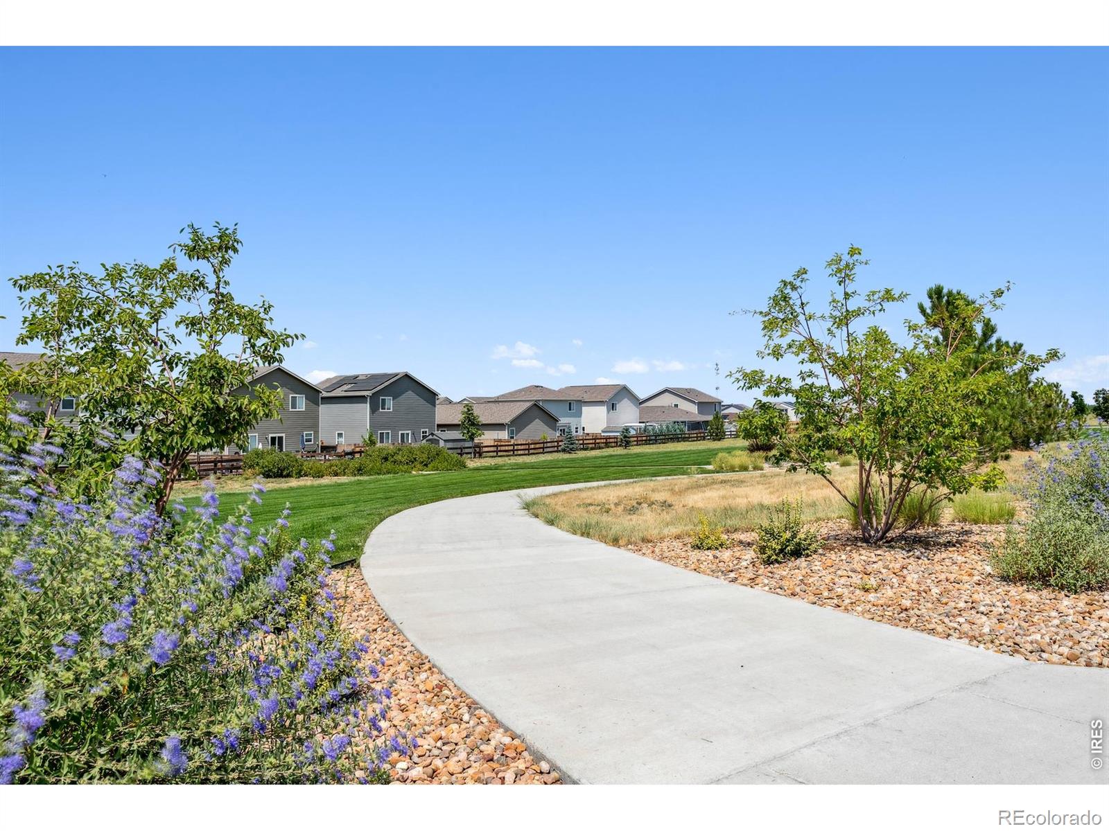 7208 Dolores Avenue Frederick CO 80530