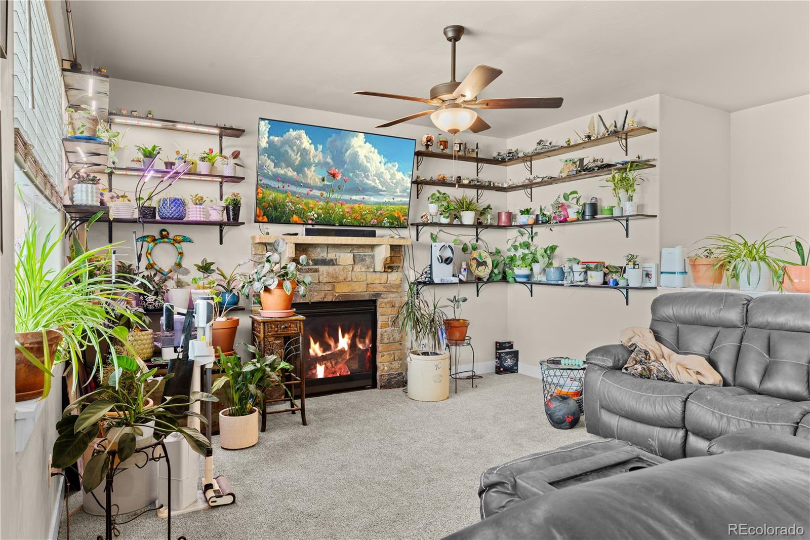 109 7th Avenue Wiggins CO 80654