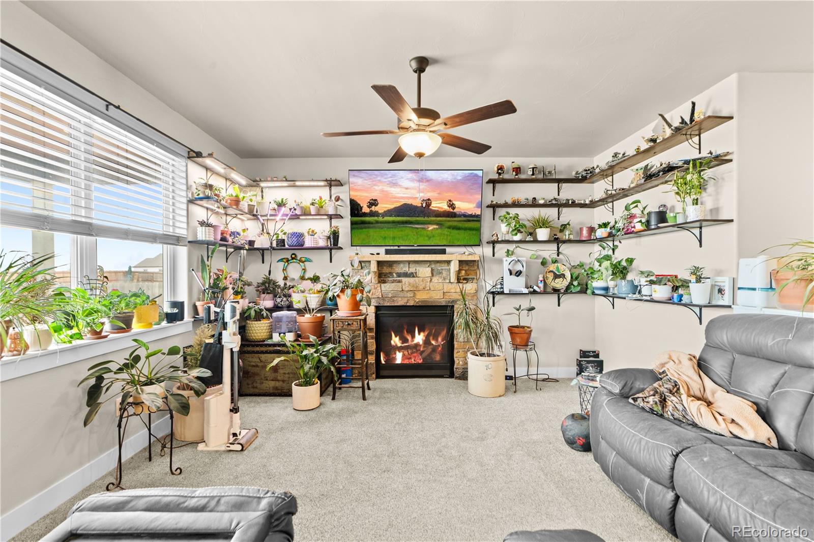 109 7th Avenue Wiggins CO 80654