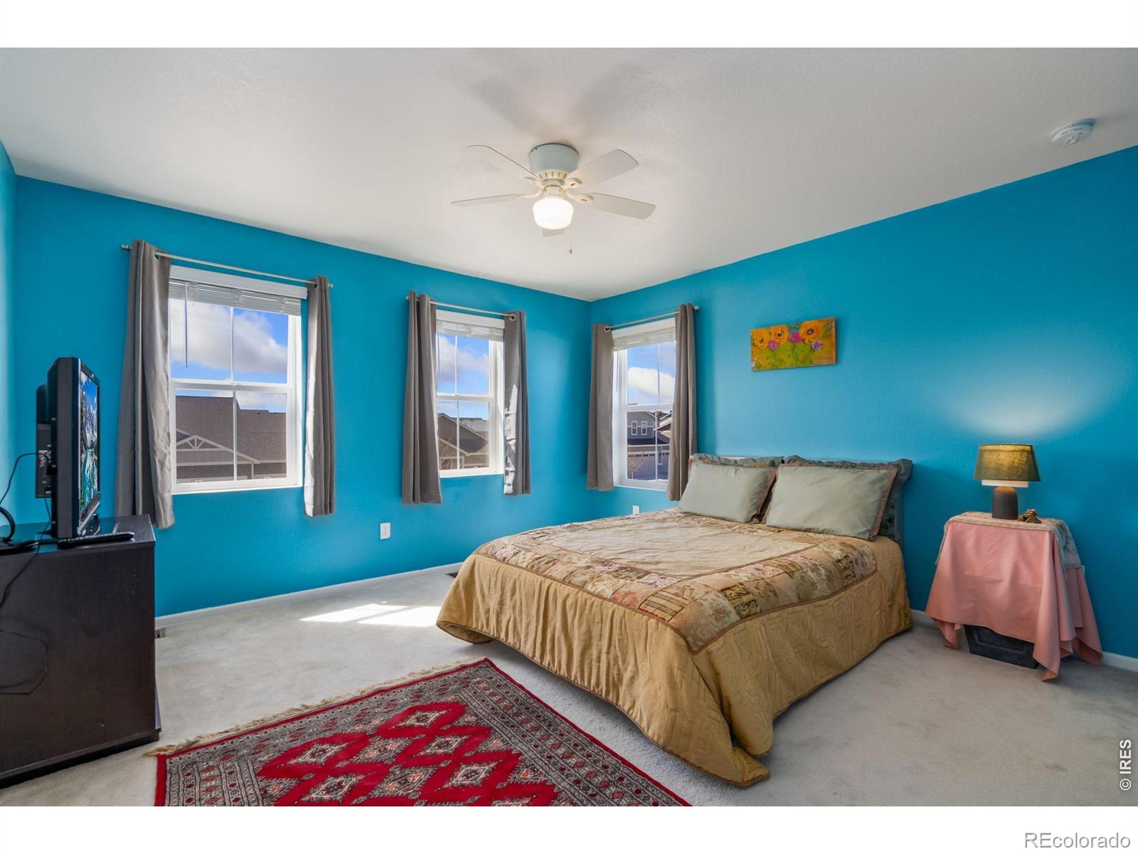 1142 Ibex Drive Severance CO 80550