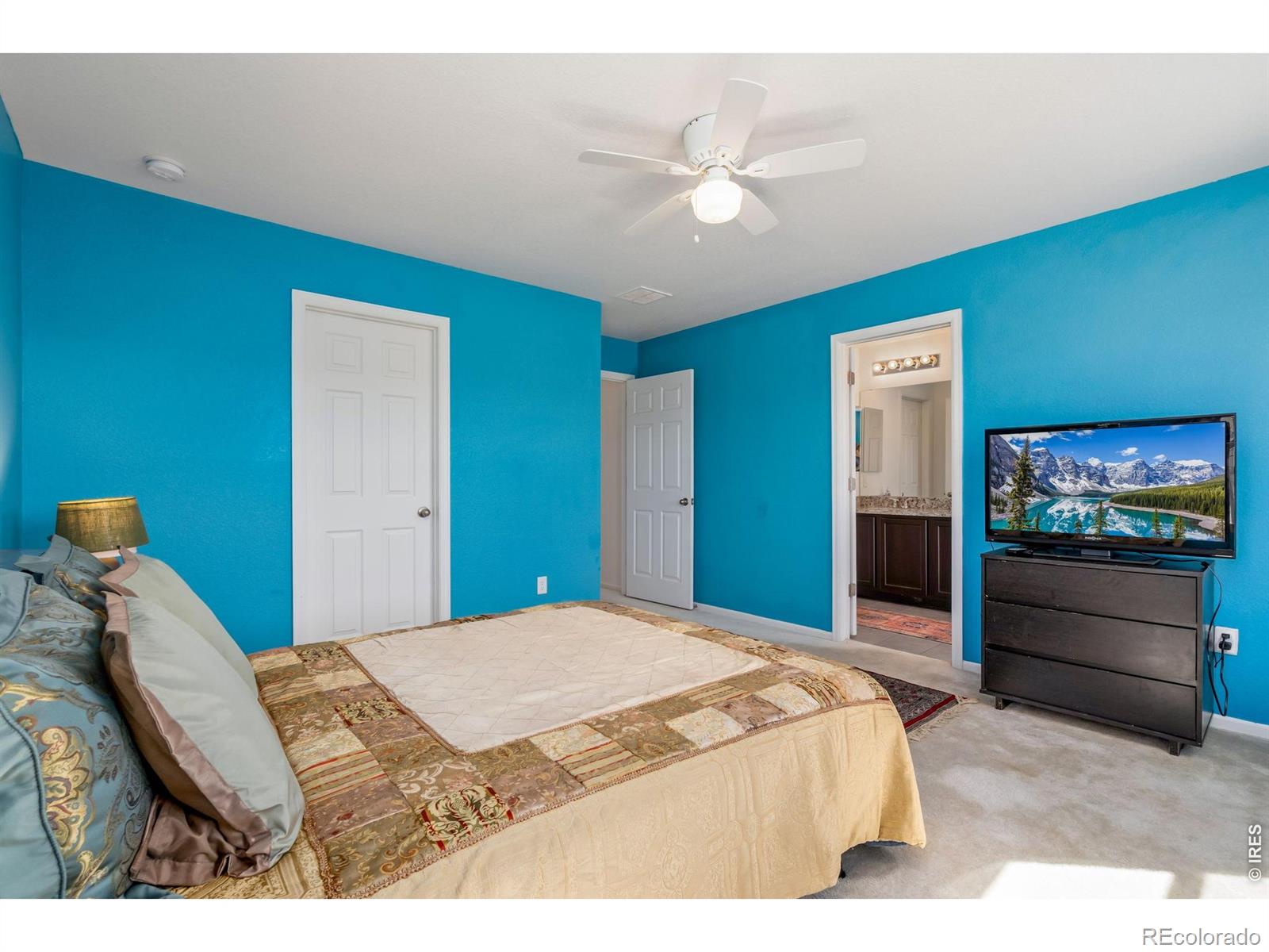 1142 Ibex Drive Severance CO 80550