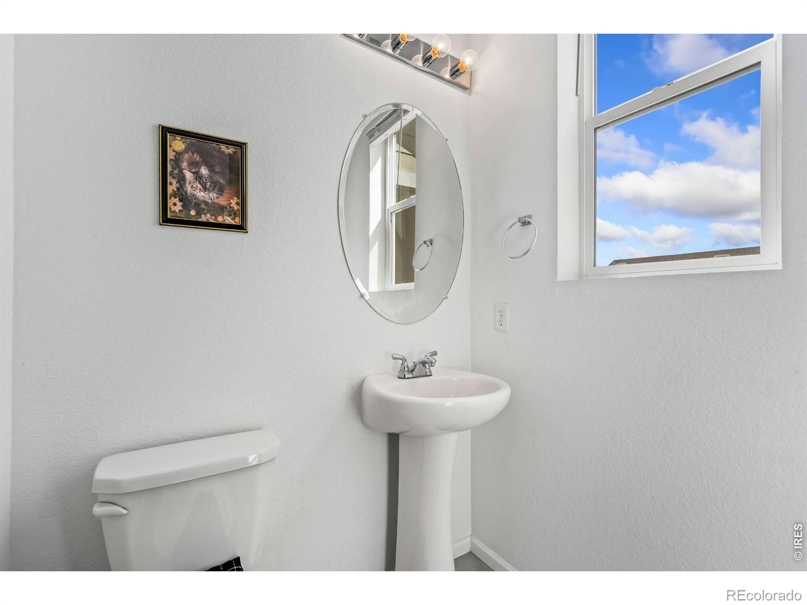 1142 Ibex Drive Severance CO 80550