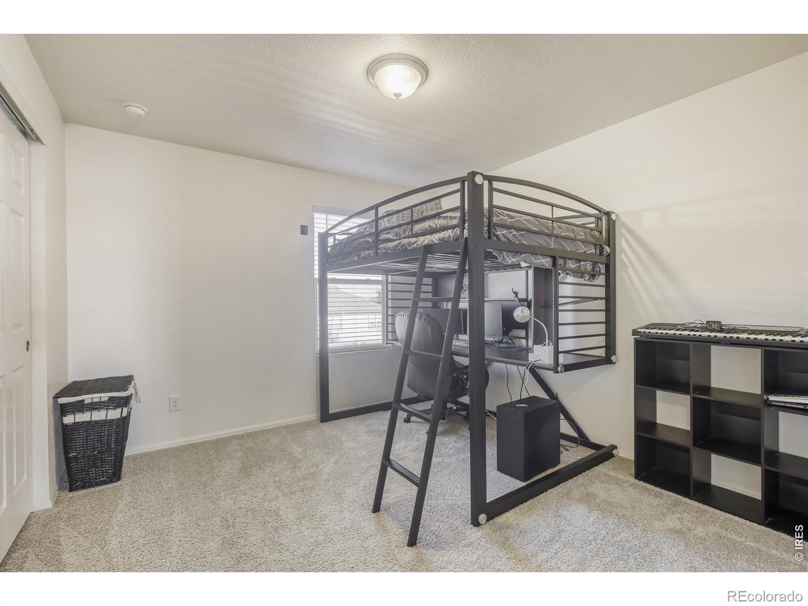 1690 Whiteley Drive Windsor CO 80550