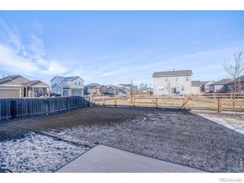 1690 Whiteley Drive Windsor CO 80550