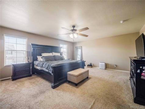 914 Charlton Drive Windsor CO 80550