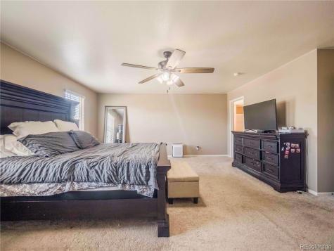 914 Charlton Drive Windsor CO 80550