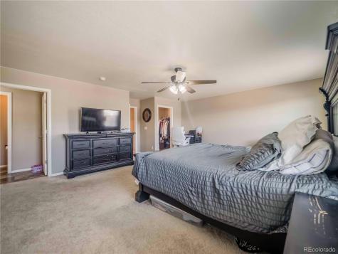 914 Charlton Drive Windsor CO 80550