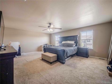 914 Charlton Drive Windsor CO 80550