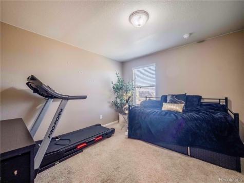 914 Charlton Drive Windsor CO 80550