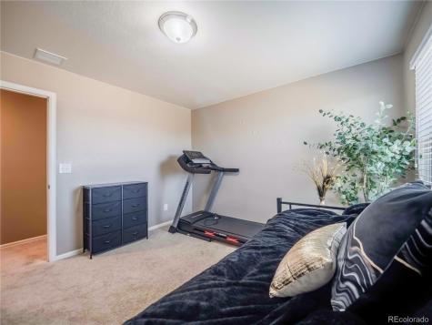 914 Charlton Drive Windsor CO 80550
