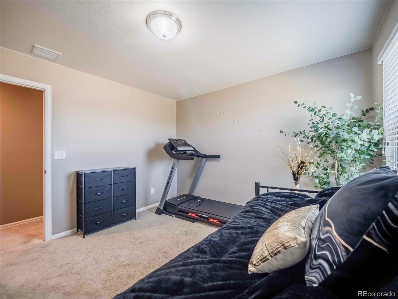 914 Charlton Drive Windsor CO 80550