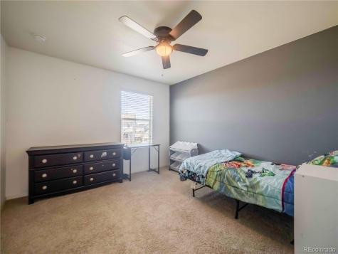 914 Charlton Drive Windsor CO 80550