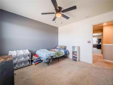 914 Charlton Drive Windsor CO 80550